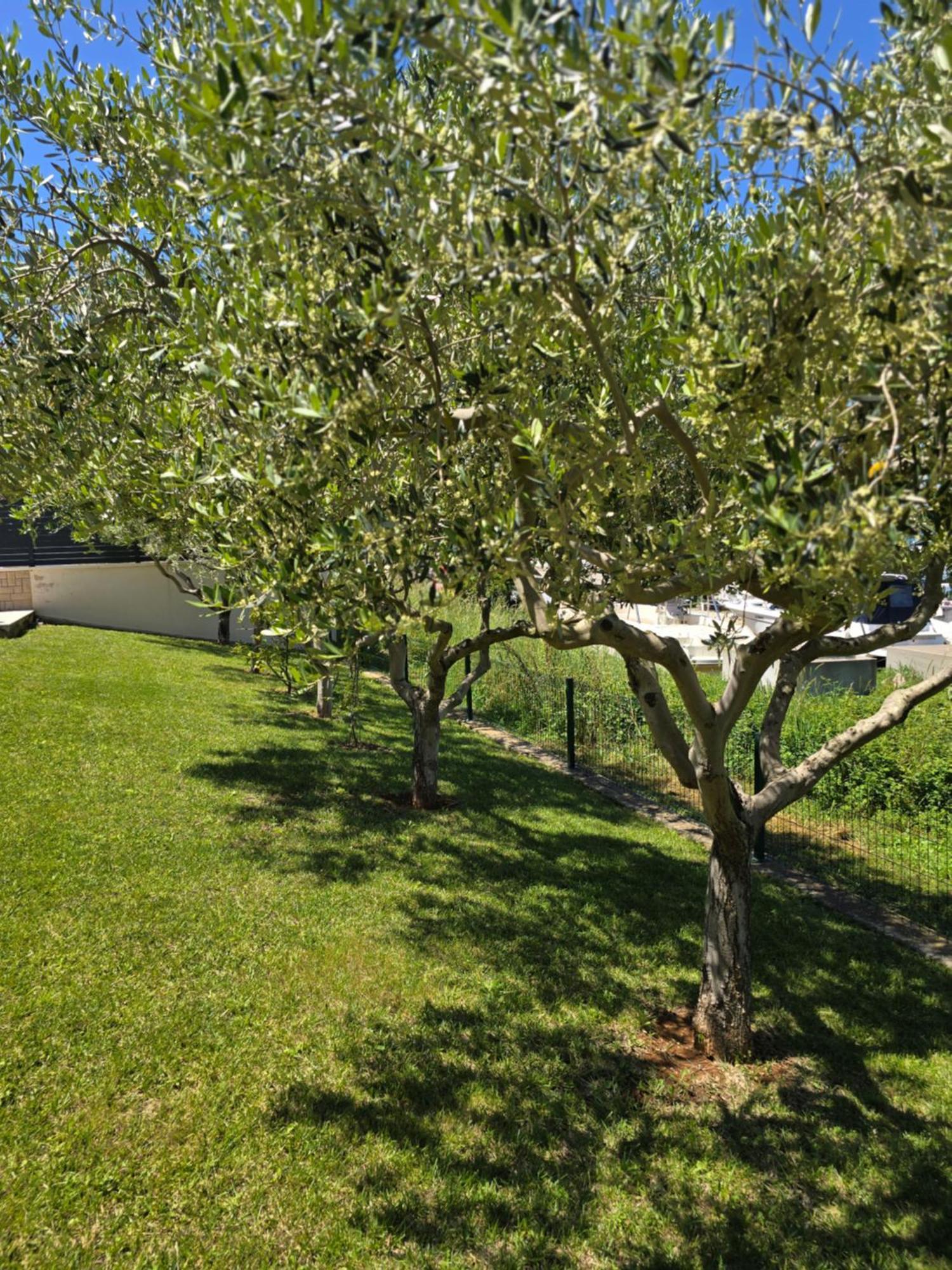 Olive Garden, Apartment With A Private Pool Banjole Esterno foto